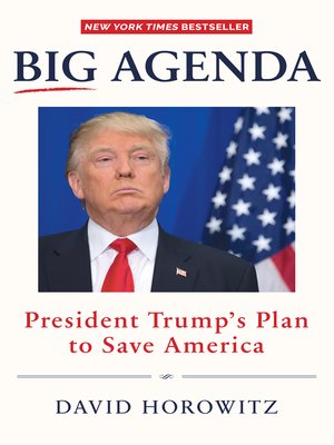 cover image of Big Agenda